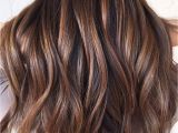 Hairstyles Copper Highlights 20 Tiger Eye Hair Ideas to Hold to Hair