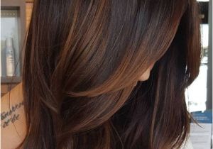 Hairstyles Copper Highlights 60 Hairstyles Featuring Dark Brown Hair with Highlights