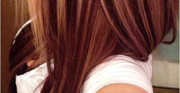 Hairstyles Dark with Red Highlights 61 Dark Auburn Hair Color Hairstyles I Need A Change