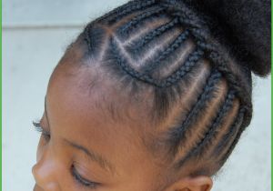 Hairstyles for 2 Year Old Black Girl Braid Hairstyles for Little Girls