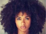 Hairstyles for Afro Curls Hairstyles for Curly Black Girl Hair Fresh Mens Afro Hairstyles