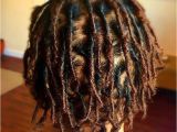 Hairstyles for Beginner Dreads Gorg Starter Locs Loving the Locs Pinterest