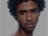 Hairstyles for Black Men with Thick Hair 20 Black Mens Curly Hairstyles