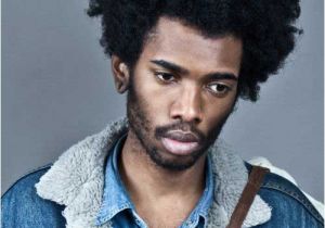 Hairstyles for Black Men with Thick Hair 20 Cool Black Men Curly Hairstyles