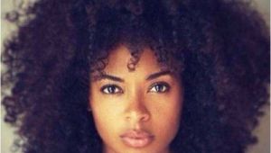 Hairstyles for Curly Ethnic Hair Hairstyles for Curly Black Girl Hair Fresh Mens Afro Hairstyles