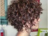 Hairstyles for Curly Hair at Work 292 Best Short Curly Hairstyles Images