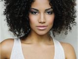 Hairstyles for Curly Hair Bloggers Precious Henshaw S Blog Go Natural Pinterest