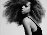 Hairstyles for Curly Hair On Pinterest Black Girl Curly Hairstyles Tumblr Inspirational Pin Od Peysh Na