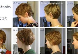 Hairstyles for Growing Out Pixie Great Visual Of Monthly Interim Styles Between A Pixie and A Bob