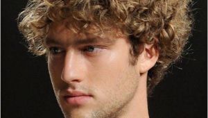 Hairstyles for Men with Curly Wavy Hair Best Long Hairstyles for Men 2012 2013