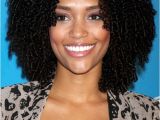 Hairstyles for Naturally Curly African American Hair African American Natural Hairstyles for Medium Short