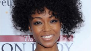 Hairstyles for Naturally Curly African American Hair Natural Short Curly Hairstyle