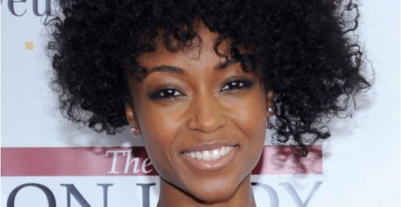 Hairstyles for Naturally Curly African American Hair Natural Short Curly Hairstyle