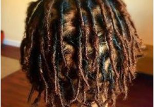 Hairstyles for Starter Dreads 3152 Best Locs Images