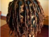 Hairstyles for Starting Dreads 3152 Best Locs Images
