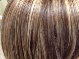 Hairstyles Frosted Highlights Highlights and An All Over Color Blended Perfectly Salon Pure