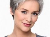 Hairstyles Grey Hair Pictures 130 Best Images About Short Hair Hair Style