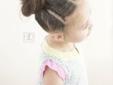 Hairstyles Like Space Buns Lace Braids and Space Buns Hairstyle Front View