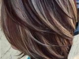 Hairstyles N Colors 47 Highlighted Hair for Brunettes