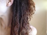 Hairstyles Timeline Curly Dreads Timeline Dreadlocks forums Hair