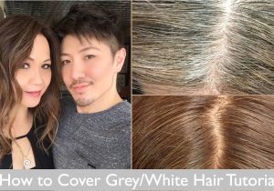 Hairstyles to Disguise Grey Hair How to Cover Grey White Hair Tutorial