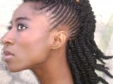 Hairstyles with Braids and Twists Natural Twist Hairstyles