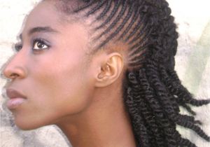 Hairstyles with Braids and Twists Natural Twist Hairstyles