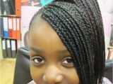 Hairstyles with Braids for Black People Black People Hairstyles Braids