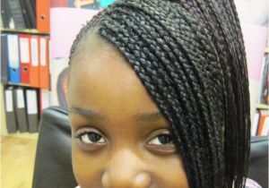 Hairstyles with Braids for Black People Black People Hairstyles Braids