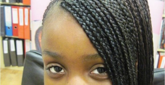 Hairstyles with Braids for Black People Black People Hairstyles Braids