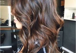 Hairstyles with Gray Highlights New Coloring Gray Hair Brown 91 Gallery Ideas