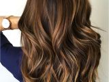 Hairstyles with Highlights 2019 60 Hairstyles Featuring Dark Brown Hair with Highlights In 2019