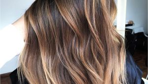 Hairstyles with Highlights 2019 60 Hairstyles Featuring Dark Brown Hair with Highlights In 2019
