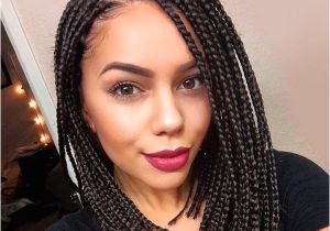 Hairstyles with Individual Braids Individual Braids Hairstyles Collection Of Single Braid