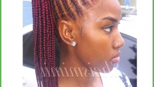 Hairstyles You Can Do with Braids Black Braided Hair Styles