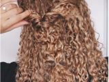 Half Up Hairstyles for Naturally Curly Hair Curly Hairstyles Natural Hair 3b 3c Curls Half Updo Braids