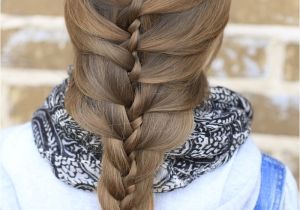 Hard Braid Hairstyles the Twist Braid Cute Braids