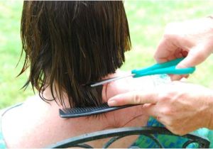 How to Cut A Bob Haircut at Home Hair Cuts How to Cut Hair at Home and Save Money Chin