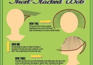How to Cut A Stacked Bob Haircut How to Cut the Crown and Nape Sections for A Short Stacked