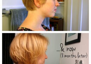 How to Grow Out A Bob Haircut Unspeakable Visions the Pixie Cut Series An Update