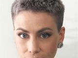 Images Of Short Cut Hairstyles top 100 Beautiful Short Haircuts for Women 2018