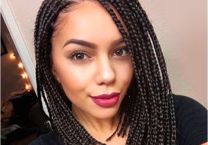 Individual Braids Hairstyles Pictures Individual Braids Hairstyles Collection Of Single Braid