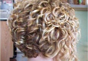 Inverted Bob Haircut for Curly Hair Short Natural Curly Hairstyles