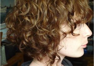 Inverted Bob Haircuts for Curly Hair Inverted Bob for Curly Hair 2013