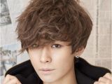 Korean Curly Hairstyle 2012 Korean Hairstyles for Men