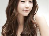 Korean Hair Model the Best Hair Colors for asians Hair
