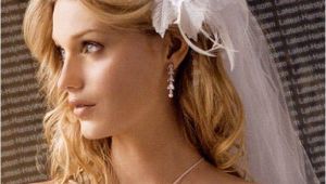 Long Hair with Veils Wedding Hairstyles Romantic Bridal Hairstyles 365greetings