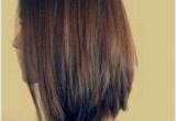 Long Styled Hair Haircut Styles Long Layers Layered Haircut for Long Hair 0d Concept