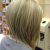 Long Tapered Bob Haircut Long Bob Haircuts Back View