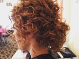 Low Maintenance Hairstyles Curly Hair Ideal Updo for Natural Curly Hair Treeclimbingasia